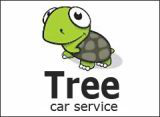 TREE CAR SERVICE